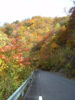 2005年11月2日、大台ケ原の紅葉