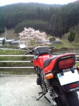 2006年4月19日、CB400sf紀伊半島の山々を抜ける