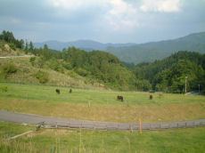 2007年6月6日、三重県