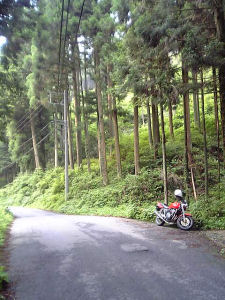 2006年6月28日、奈良県室生