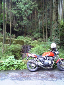 2006年6月28日、奈良県室生