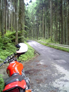 2006年6月28日、奈良県室生