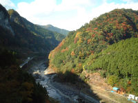 2006年11月15日、奈良県大台ケ原