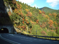 2006年11月15日、奈良県大台ケ原