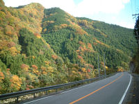 2006年11月15日、奈良県大台ケ原