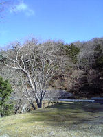 2006年11月15日、奈良県大台ケ原