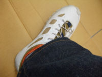 javariiWojŁA{fBO[u ANAV[Y